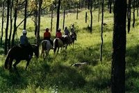 Hunter Valley Horse Riding and Adventures - Kingaroy Accommodation