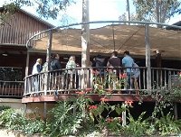 Hunter Vineyard Tours - Gold Coast Attractions