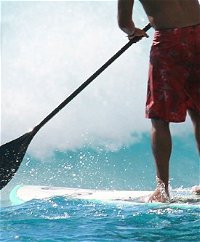 iSurf Newcastle Surf School - Tourism Bookings WA
