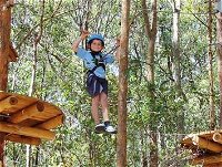 TreeTops Newcastle - Accommodation Cooktown