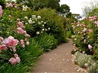 Ross Garden Tours - Accommodation Coffs Harbour