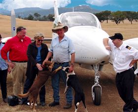 Bankstown Aerodrome NSW Mackay Tourism