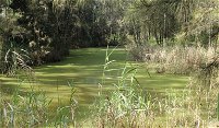Second Ponds Creek walk - Redcliffe Tourism