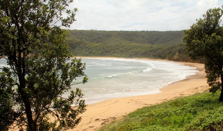 Avoca Beach NSW Find Attractions