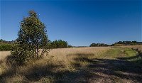 Scheyville horse riding trails - Accommodation ACT
