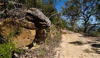 Canoelands Ridge walking track - QLD Tourism