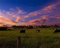 Made in Macarthur Food and Wine Tours - Accommodation Gold Coast