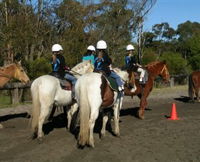 Darkes Forest Riding Ranch - Accommodation Airlie Beach