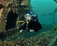 Ex-Hmas Adelaide Dive Site - Yamba Accommodation