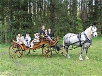 Classic Carriage Drives - Attractions