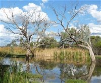 Lagoon Creek - Tourism Canberra