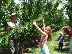 Forest Range ACT Accommodation Daintree