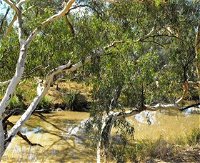 Quilberry Creek Fishing - ACT Tourism