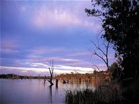 Loch Luna Game Reserve and Moorook Game Reserve - Attractions