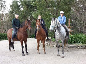 Mount George SA Accommodation Sunshine Coast