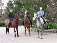 Academy of Dressage - Accommodation Airlie Beach