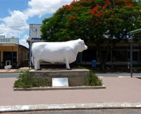 Aramac - The White Bull - Kingaroy Accommodation