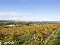 The Winery Door - Northern Rivers Accommodation