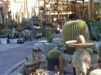 Cactus Creations - Foster Accommodation