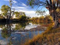 Murray River National Park - Accommodation Yamba
