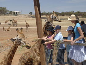 Monarto South SA Accommodation NSW