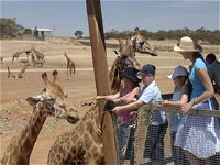 Monarto Open Range Zoo - QLD Tourism