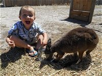 Animal Farm Goolwa - Port Augusta Accommodation