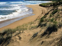 Newland Head Conservation Park - Gold Coast Attractions