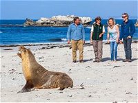Seal Bay Conservation Park - Whitsundays Tourism