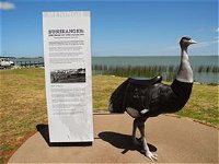 Birdman of the Coorong - Surfers Paradise Gold Coast
