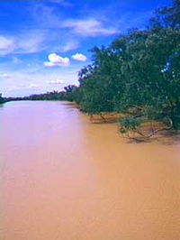 Warrego River - Accommodation NT