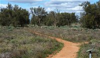 Grasslands Nature trail - Attractions Melbourne