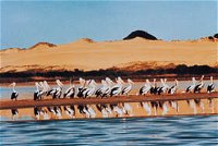 Coorong National Park - Port Augusta Accommodation