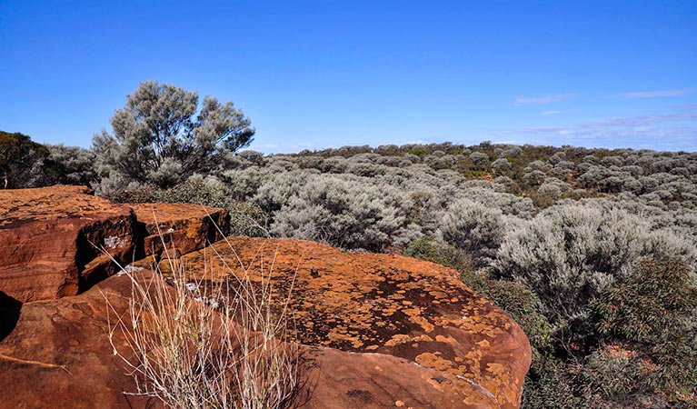 Cobar NSW Attractions Melbourne