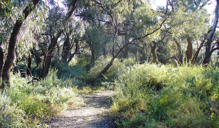 Wallanthery NSW Accommodation NT