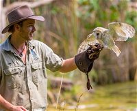 Territory Wildlife Park - Accommodation Cooktown