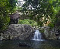 Paluma and Crystal Creek Rainforest - Accommodation Yamba