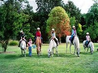 Limestone Coast Horseriding - Attractions Brisbane