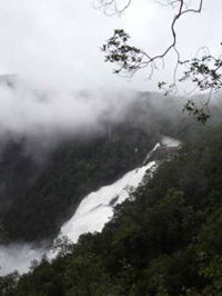 Tully Falls and Tully Gorge - Accommodation Bookings