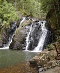 Pepina Falls - Accommodation Gladstone