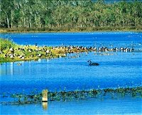 Hasties Swamp National Park - Accommodation Newcastle
