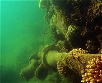 Wreck Diving at Magnetic Island - Port Augusta Accommodation