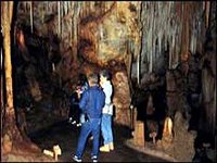 Tantanoola Caves Conservation Park - Accommodation Yamba