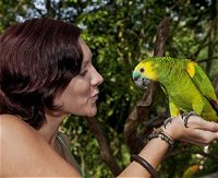 Birdworld Kuranda - Accommodation Resorts