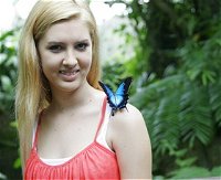 Australian Butterfly Sanctuary - Accommodation Resorts