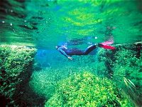 Piccaninnie Ponds Conservation Park - Accommodation NSW