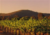 Taltarni Vineyards - Tourism Canberra
