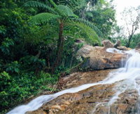 Finch Hatton Gorge - Accommodation Bookings