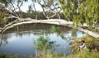 Murray Valley National Park - Accommodation Bookings