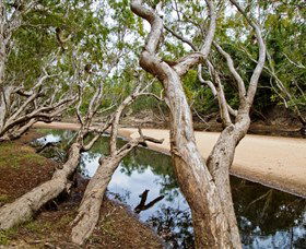 Coen QLD Carnarvon Accommodation